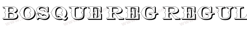 Bosque Reg Regular字体转换